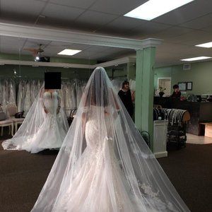 Wedding Dress with Cathedral Veil and shoes